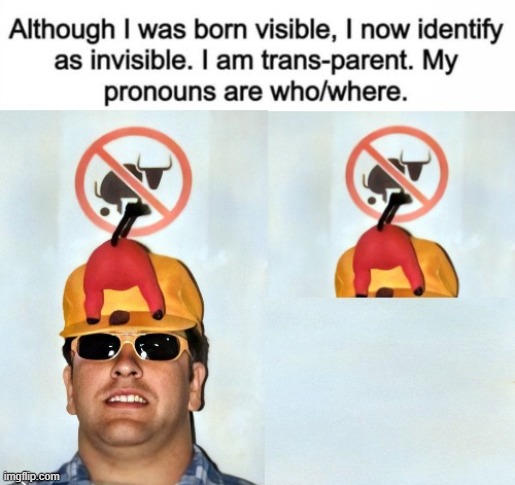 I was born visible, but now identify as invisible, I identify as Transparent, my pronouns are who and where!! | image tagged in pronouns,who,where is,the invisible man | made w/ Imgflip meme maker