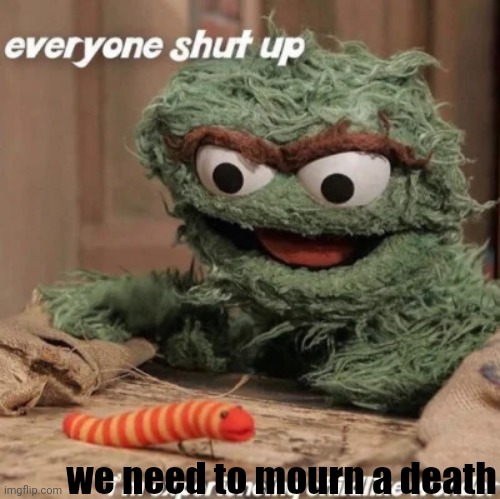 Everyone shut up I'm experiencing childlike wonder | we need to mourn a death | image tagged in everyone shut up i'm experiencing childlike wonder | made w/ Imgflip meme maker