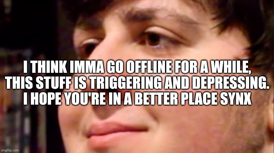 Jontron internal screaming | I THINK IMMA GO OFFLINE FOR A WHILE, THIS STUFF IS TRIGGERING AND DEPRESSING.
I HOPE YOU'RE IN A BETTER PLACE SYNX | image tagged in jontron internal screaming | made w/ Imgflip meme maker