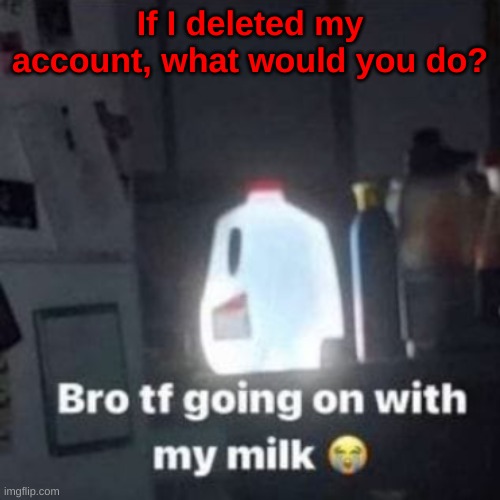 Serious question. | If I deleted my account, what would you do? | image tagged in weeee | made w/ Imgflip meme maker