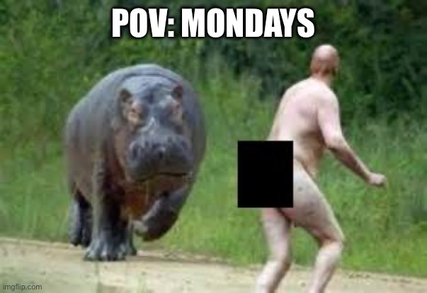 Mondays | POV: MONDAYS | image tagged in hippo vs naked guy,mondays,i hate mondays,monday,pov | made w/ Imgflip meme maker