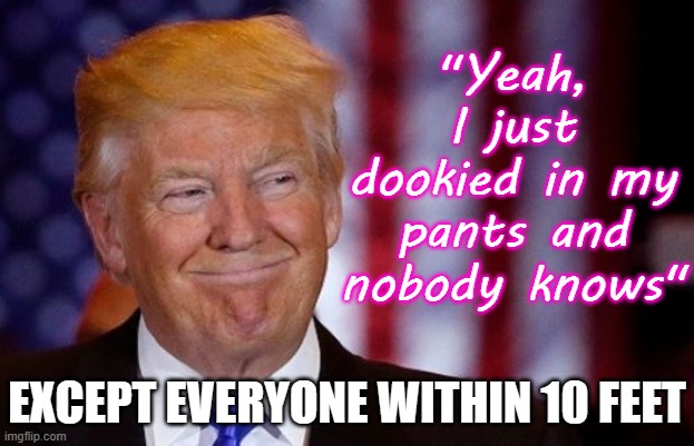 The Diaper Don - Silent but deadly | "Yeah, I just dookied in my pants and nobody knows"; EXCEPT EVERYONE WITHIN 10 FEET | image tagged in trump goofy smiling stupid,pants,republican,moron,traitor,authoritarian | made w/ Imgflip meme maker