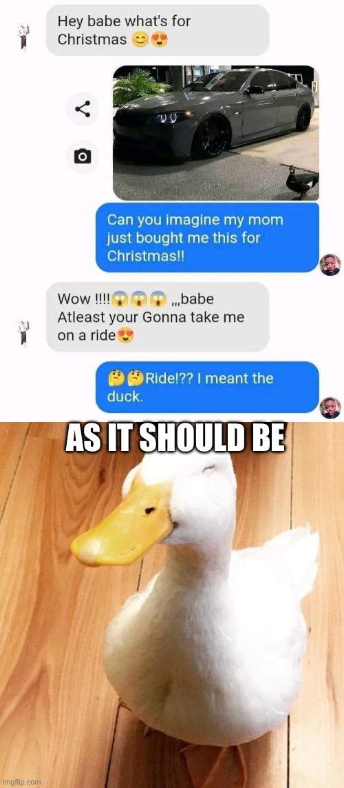 Duck present | AS IT SHOULD BE | image tagged in smile duck,present,duck,christmas gifts | made w/ Imgflip meme maker