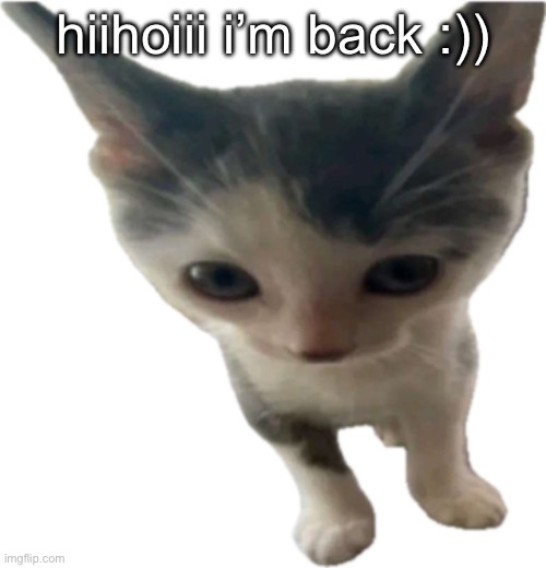 i’m so happy rn | hiihoiii i’m back :)) | image tagged in bartholom us gilbert jr | made w/ Imgflip meme maker