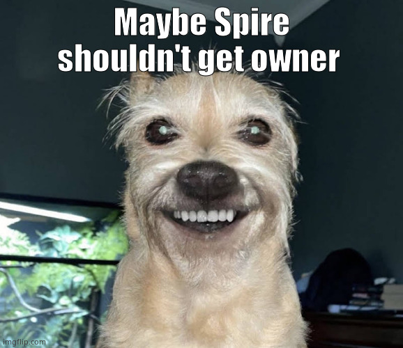 Omfg | Maybe Spire shouldn't get owner | image tagged in the dog | made w/ Imgflip meme maker