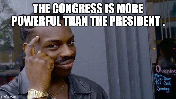 Roll Safe Think About It Meme | THE CONGRESS IS MORE POWERFUL THAN THE PRESIDENT . | image tagged in memes,roll safe think about it | made w/ Imgflip meme maker