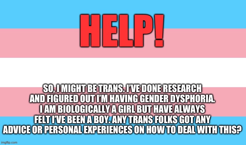 Help I’m so confused hshshdhshaaj | image tagged in transgender | made w/ Imgflip meme maker