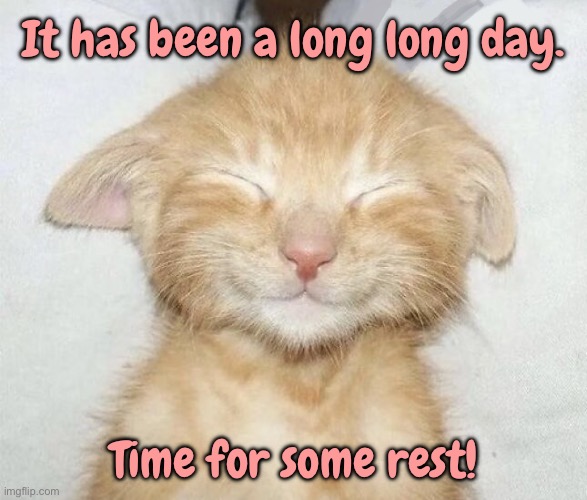 Long day | It has been a long long day. Time for some rest! | image tagged in kitten sleeping,a long day,time to rest,cats | made w/ Imgflip meme maker
