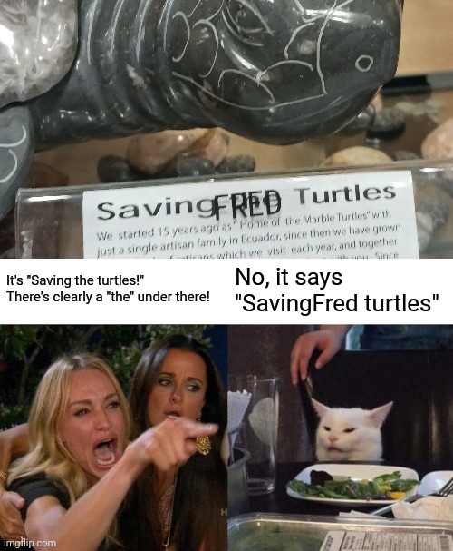 Saving Fred turtles | It's "Saving the turtles!" There's clearly a "the" under there! No, it says "SavingFred turtles" | image tagged in memes,woman yelling at cat,turtle,turtles,stupid signs,fred | made w/ Imgflip meme maker