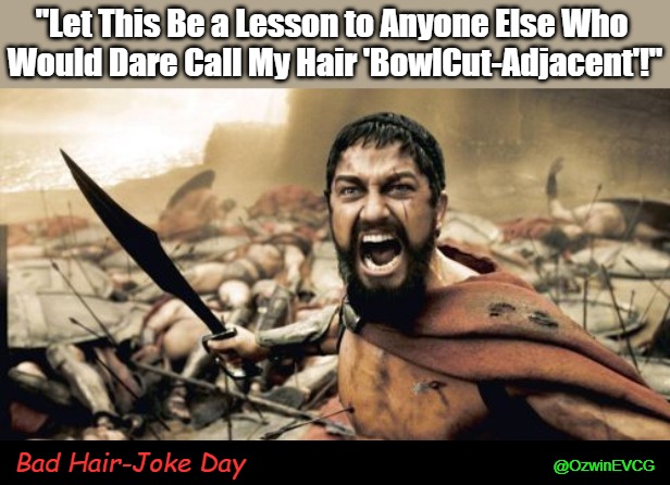 Bad Hair-Joke Day | "Let This Be a Lesson to Anyone Else Who 
Would Dare Call My Hair 'BowlCut-Adjacent'!"; Bad Hair-Joke Day; @OzwinEVCG | image tagged in sparta leonidas,funny haircut,quick temper,personal grooming,bad hair day,im warning you | made w/ Imgflip meme maker