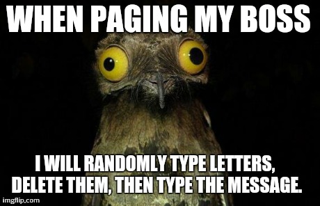 Weird Stuff I Do Potoo | WHEN PAGING MY BOSS I WILL RANDOMLY TYPE LETTERS, DELETE THEM, THEN TYPE THE MESSAGE. | image tagged in memes,weird stuff i do potoo | made w/ Imgflip meme maker