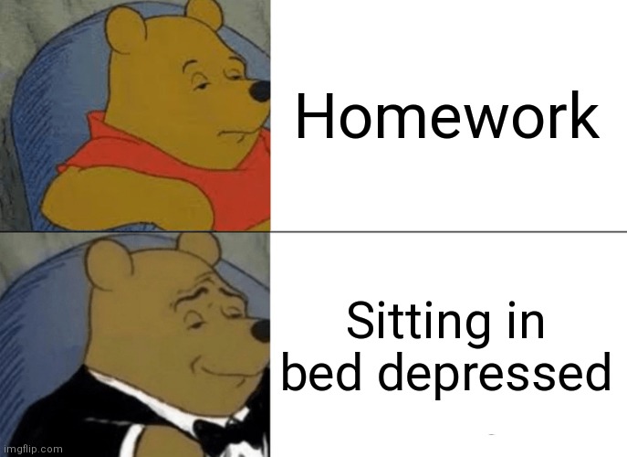 Why? Just...why? | Homework; Sitting in bed depressed | image tagged in memes,tuxedo winnie the pooh | made w/ Imgflip meme maker