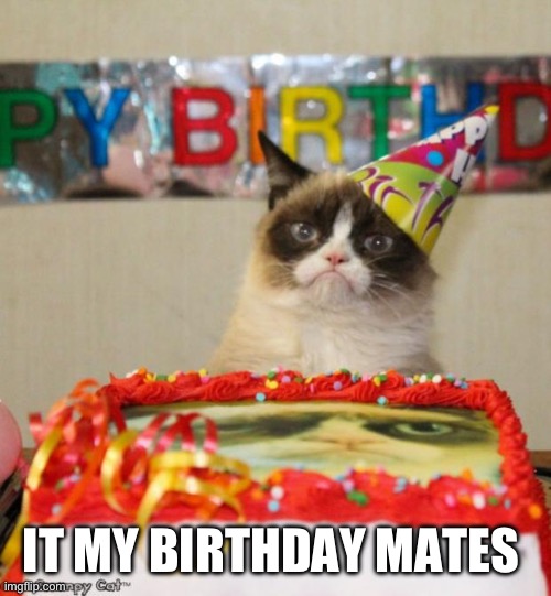 Yeah | IT MY BIRTHDAY MATES | image tagged in memes,grumpy cat birthday,grumpy cat | made w/ Imgflip meme maker