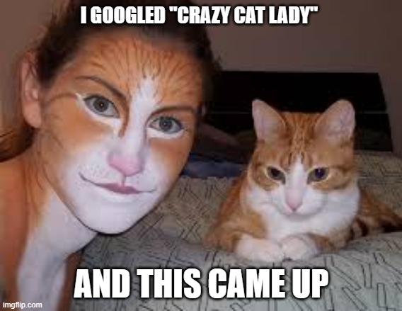 meme by Brad I googled cat lady and got this | I GOOGLED "CRAZY CAT LADY"; AND THIS CAME UP | image tagged in cat,cat meme,funny cats,funny cat memes | made w/ Imgflip meme maker