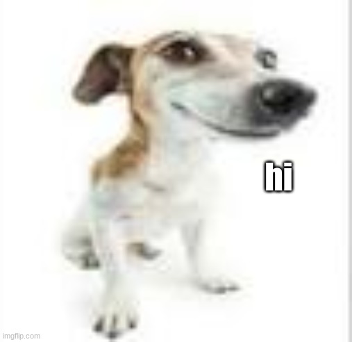 Goofy Dog | hi | image tagged in goofy dog | made w/ Imgflip meme maker
