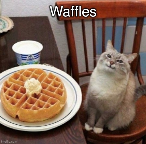 Cat likes their waffle | Waffles | image tagged in cat likes their waffle | made w/ Imgflip meme maker