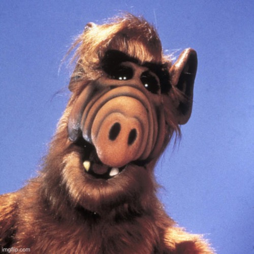 Alf  | image tagged in alf | made w/ Imgflip meme maker