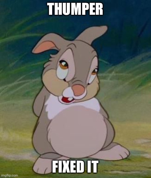 Thumper | THUMPER; FIXED IT | image tagged in thumper | made w/ Imgflip meme maker