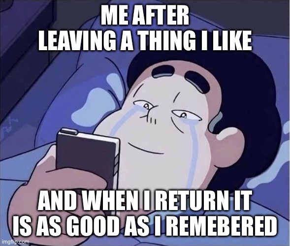 MAN HAS HAPPY TEARS FROM LOOKING AT HIS PHONE | ME AFTER LEAVING A THING I LIKE; AND WHEN I RETURN IT IS AS GOOD AS I REMEBERED | image tagged in man has happy tears from looking at his phone | made w/ Imgflip meme maker