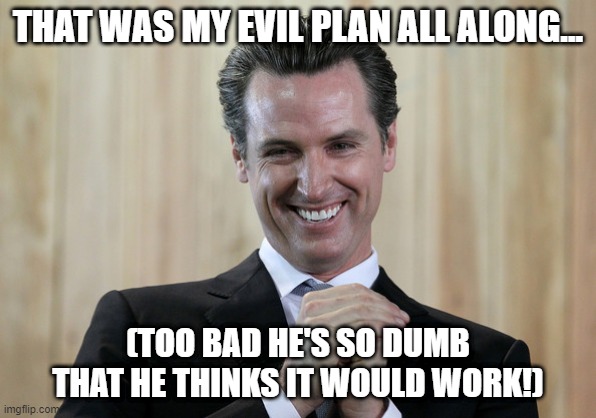 Scheming Gavin Newsom  | THAT WAS MY EVIL PLAN ALL ALONG... (TOO BAD HE'S SO DUMB THAT HE THINKS IT WOULD WORK!) | image tagged in scheming gavin newsom | made w/ Imgflip meme maker