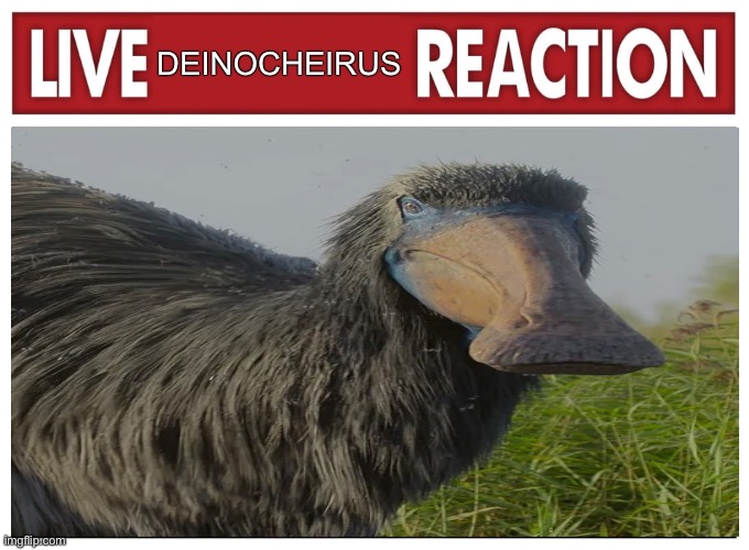 Live reaction | DEINOCHEIRUS | image tagged in live reaction,dino,dinosaur,dinosaurs,shitpost,memes | made w/ Imgflip meme maker