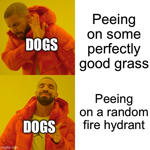 I know they’re marking their territory or something but… | Peeing on some perfectly good grass; DOGS; Peeing on a random fire hydrant; DOGS | image tagged in memes,drake hotline bling,funny,funny memes,dogs | made w/ Imgflip meme maker