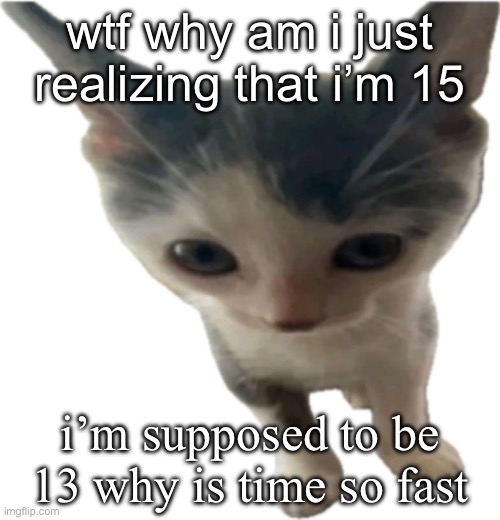 and i better not see my next birthday like wtf the world needs to end rn | wtf why am i just realizing that i’m 15; i’m supposed to be 13 why is time so fast | image tagged in bartholom us gilbert jr | made w/ Imgflip meme maker
