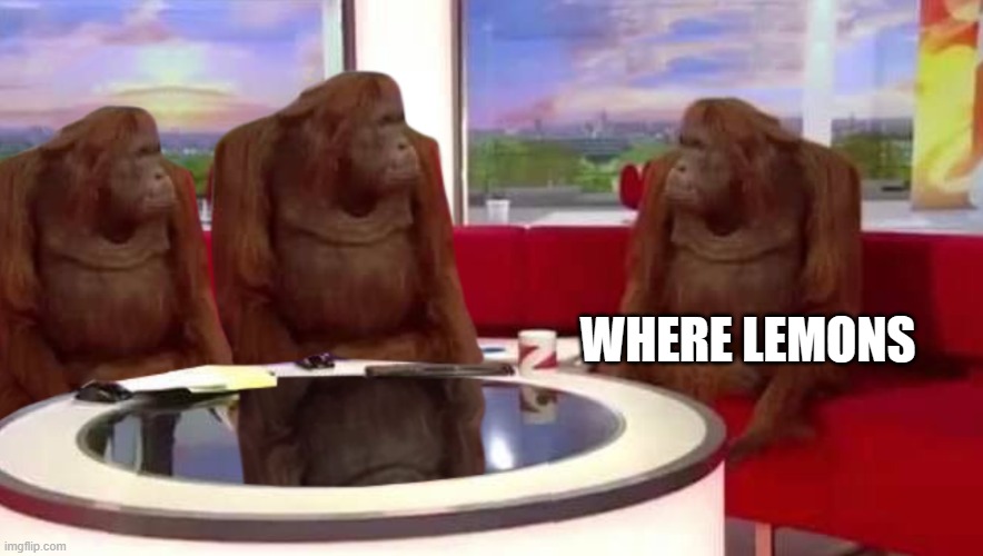 where monkey | WHERE LEMONS | image tagged in where monkey | made w/ Imgflip meme maker
