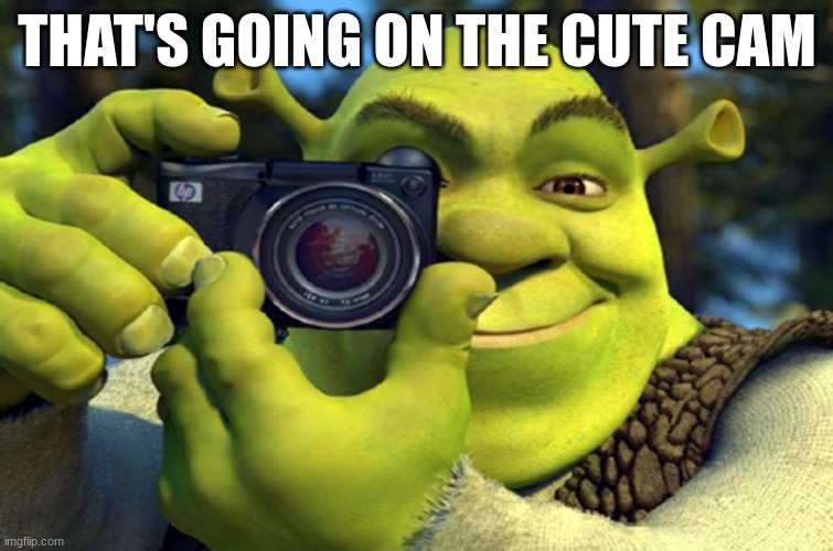 shrek camera | THAT'S GOING ON THE CUTE CAM | image tagged in shrek camera | made w/ Imgflip meme maker