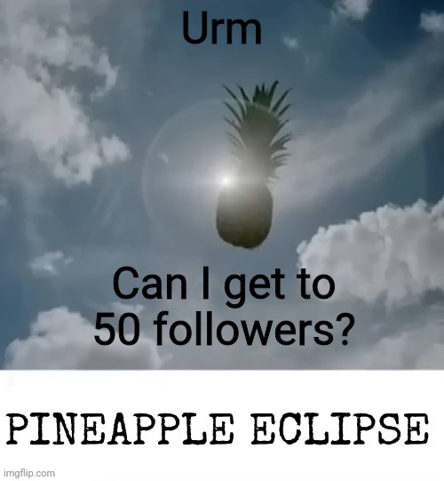 PINEAPPLE_ECLIPSE | Urm; Can I get to 50 followers? | image tagged in pineapple_eclipse | made w/ Imgflip meme maker