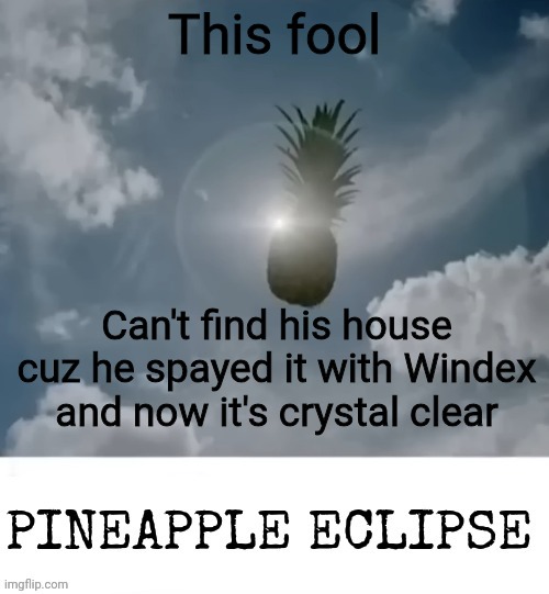 What a disaster | This fool; Can't find his house cuz he spayed it with Windex and now it's crystal clear | image tagged in pineapple_eclipse | made w/ Imgflip meme maker