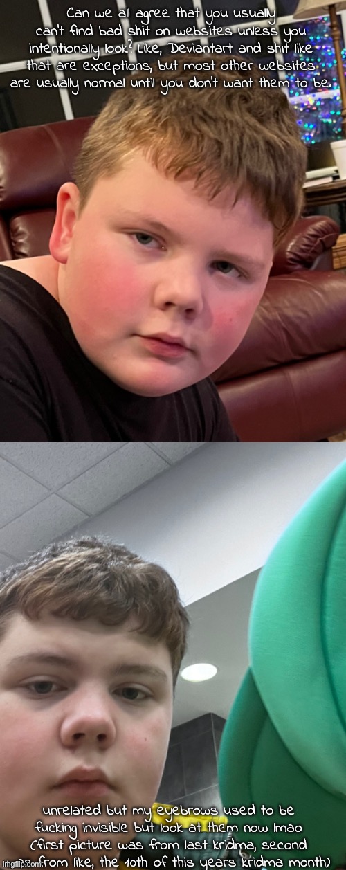 there was rotting sweet tea in my room | Can we all agree that you usually can’t find bad shit on websites unless you intentionally look? Like, Deviantart and shit like that are exceptions, but most other websites are usually normal until you don’t want them to be. unrelated but my eyebrows used to be fucking invisible but look at them now lmao (first picture was from last kridma, second was from like, the 10th of this years kridma month) | made w/ Imgflip meme maker
