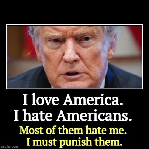 Effing nutcase | I love America. I hate Americans. | Most of them hate me. 
I must punish them. | image tagged in funny,demotivationals,trump,hate,americans,punishment | made w/ Imgflip demotivational maker