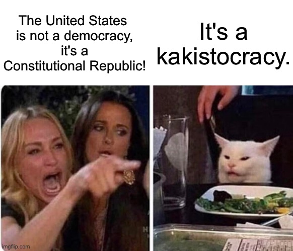 Lady screams at cat | The United States 
is not a democracy,
 it's a 
Constitutional Republic! It's a kakistocracy. | image tagged in lady screams at cat | made w/ Imgflip meme maker