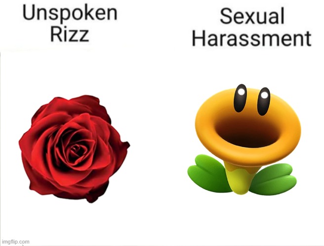 Mario wonder players would understand | image tagged in unspoken rizz vs sexual harassment | made w/ Imgflip meme maker