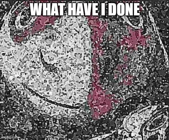 WHAT HAVE I DONE | WHAT HAVE I DONE | image tagged in deep fried | made w/ Imgflip meme maker