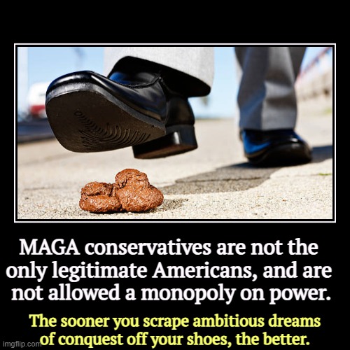 You can't take back what was never yours. | MAGA conservatives are not the 
only legitimate Americans, and are 
not allowed a monopoly on power. | The sooner you scrape ambitious dream | image tagged in funny,demotivationals,maga,right wing,extreme,conservatives | made w/ Imgflip demotivational maker