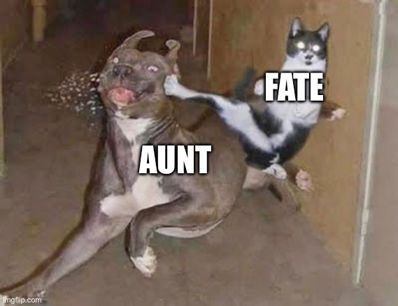 GET REKT | FATE AUNT | image tagged in get rekt | made w/ Imgflip meme maker