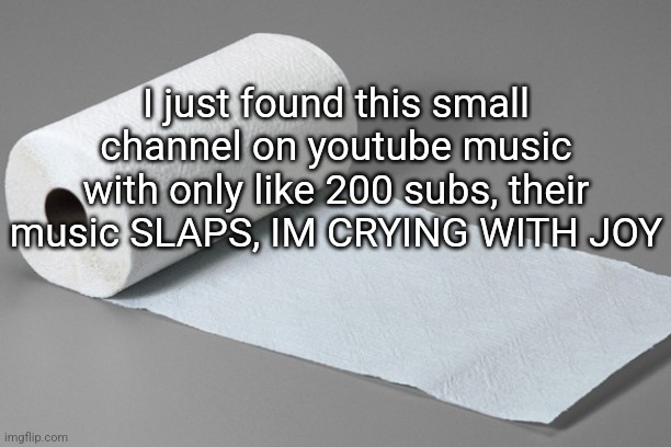 I wish I found it sooner holy shit | I just found this small channel on youtube music with only like 200 subs, their music SLAPS, IM CRYING WITH JOY | image tagged in paper towel | made w/ Imgflip meme maker