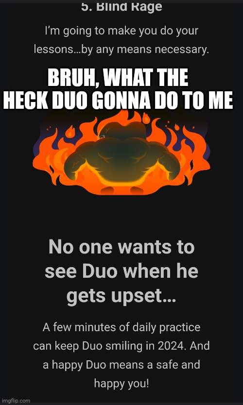 Ima die | BRUH, WHAT THE HECK DUO GONNA DO TO ME | image tagged in duolingo | made w/ Imgflip meme maker
