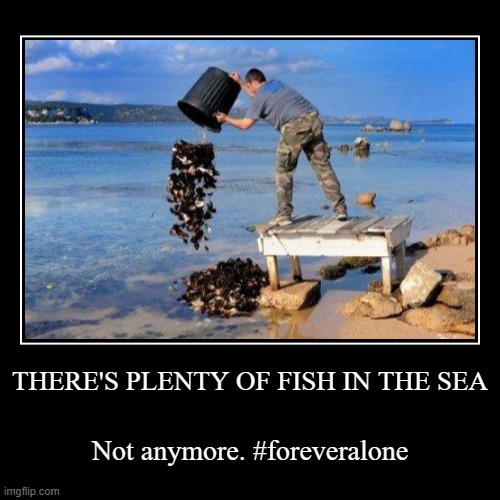#foreveralone | THERE'S PLENTY OF FISH IN THE SEA | Not anymore. #foreveralone | image tagged in funny,demotivationals,forever alone | made w/ Imgflip demotivational maker