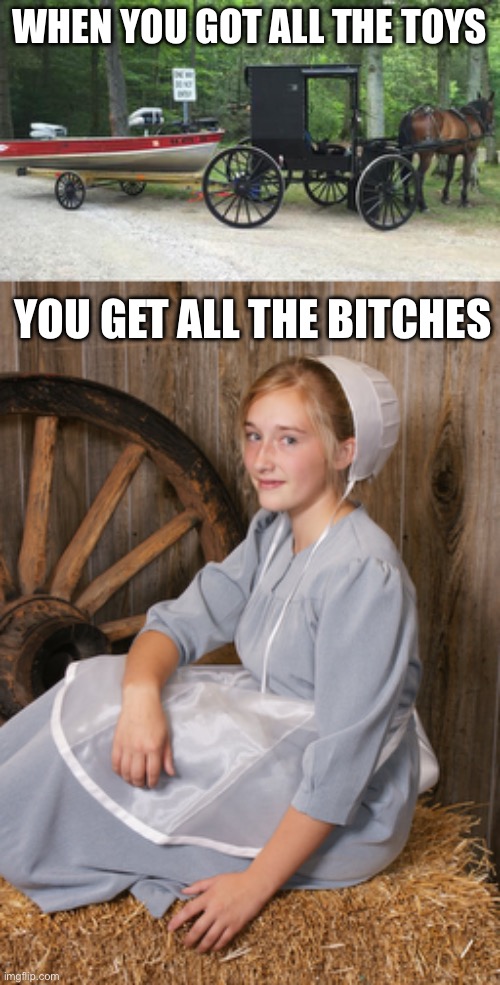 Amish boys’ toys’ | WHEN YOU GOT ALL THE TOYS; YOU GET ALL THE BITCHES | image tagged in amish chick,toys,boat,buggy | made w/ Imgflip meme maker