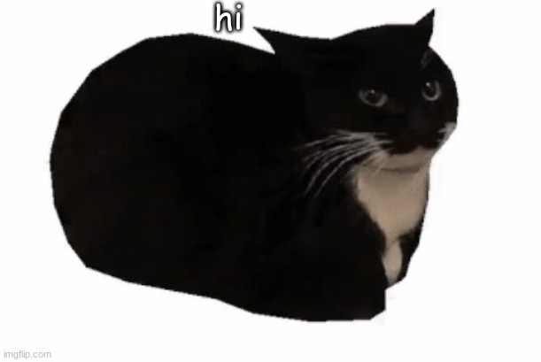 maxwell the cat | hi | image tagged in maxwell the cat | made w/ Imgflip meme maker