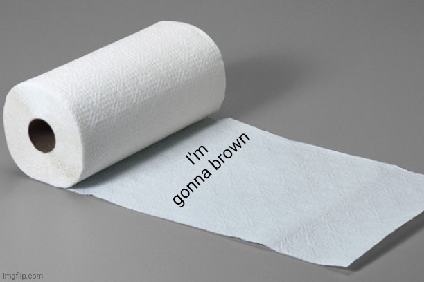 paper towel | I'm gonna brown | image tagged in paper towel | made w/ Imgflip meme maker