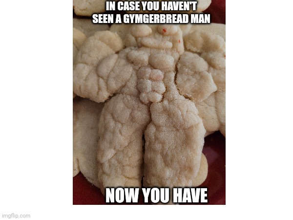 IN CASE YOU HAVEN'T SEEN A GYMGERBREAD MAN; NOW YOU HAVE | made w/ Imgflip meme maker