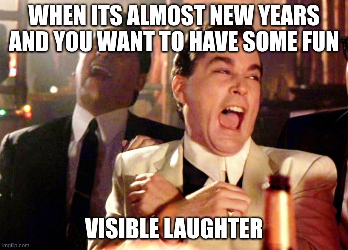 Good Fellas Hilarious | WHEN ITS ALMOST NEW YEARS AND YOU WANT TO HAVE SOME FUN; VISIBLE LAUGHTER | image tagged in memes,good fellas hilarious | made w/ Imgflip meme maker
