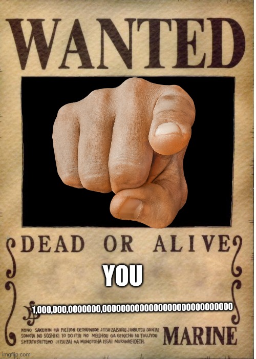 One Piece Wanted Poster Template 