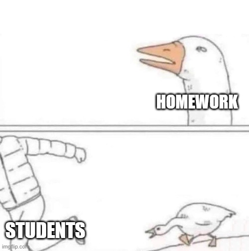 Its study time | HOMEWORK; STUDENTS | image tagged in goose chase | made w/ Imgflip meme maker