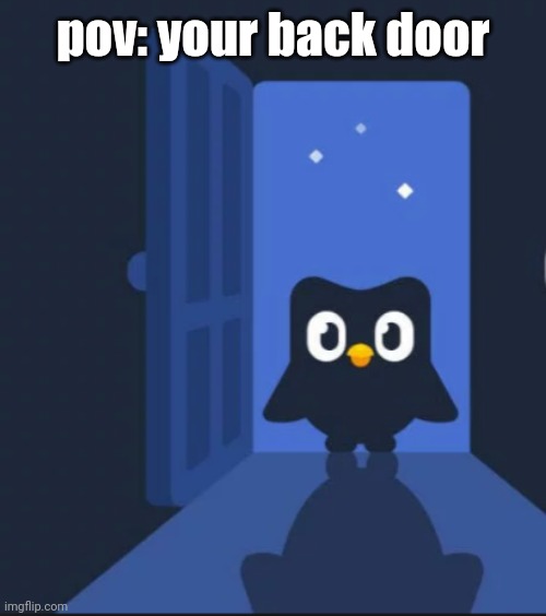 Duolingo bird | pov: your back door | image tagged in duolingo bird | made w/ Imgflip meme maker