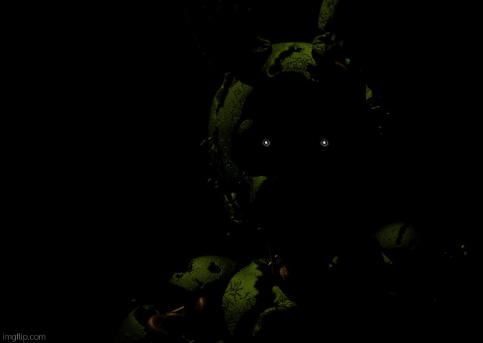 MSMG needs mental help. | image tagged in springtrap staring | made w/ Imgflip meme maker